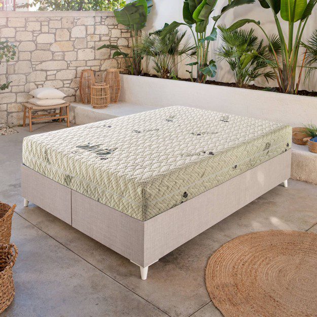 Душек Оливио